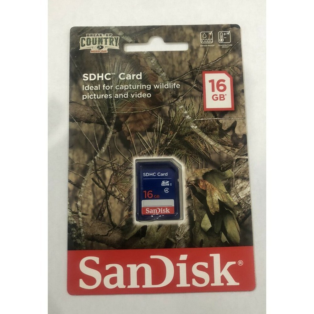 SanDisk SDHC 16GB,Standard SD Blue
